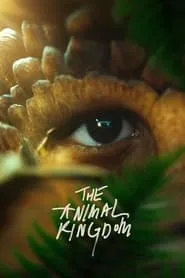Poster for The Animal Kingdom