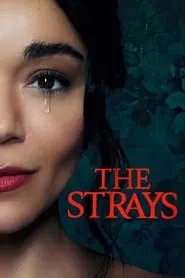 Poster for The Strays