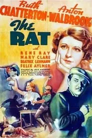 Poster for The Rat