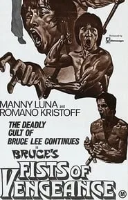 Poster for Bruce's Fists Of Vengeance