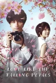 Poster for Love Like the Falling Petals