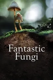 Poster for Fantastic Fungi