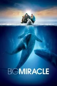 Poster for Big Miracle