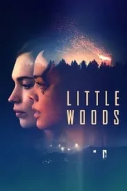 Poster for Little Woods