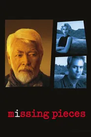 Poster for Missing Pieces