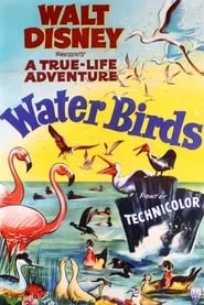 Poster for Water Birds