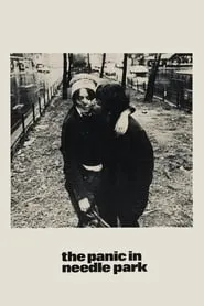 Poster for The Panic in Needle Park