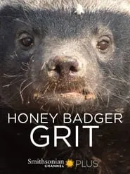 Poster for Honey Badger: Grit