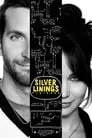 Poster for Silver Linings Playbook